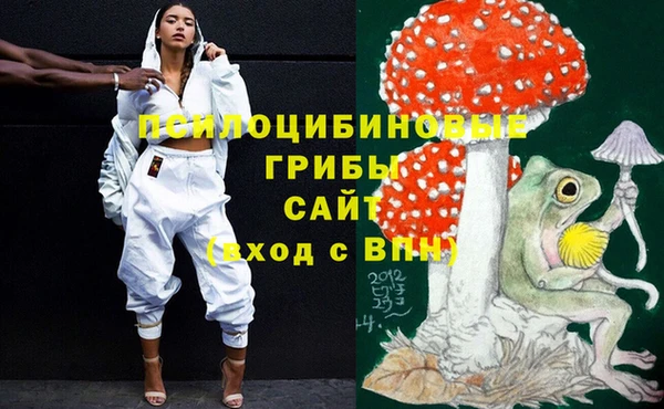 гидра Волоколамск