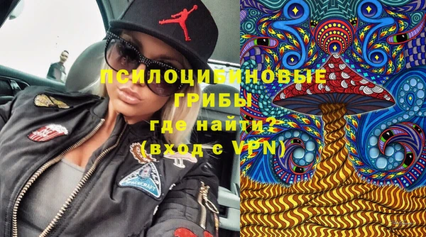скорость mdpv Новодвинск