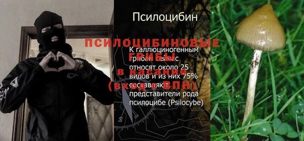 ECSTASY Володарск