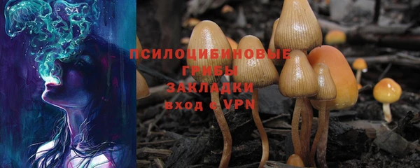 кокаин Вяземский