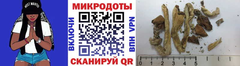 Псилоцибиновые грибы MAGIC MUSHROOMS Озёры