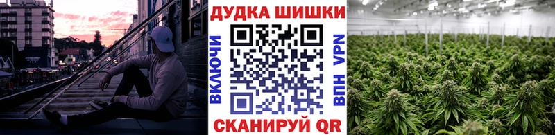 Бошки Шишки конопля  Озёры 